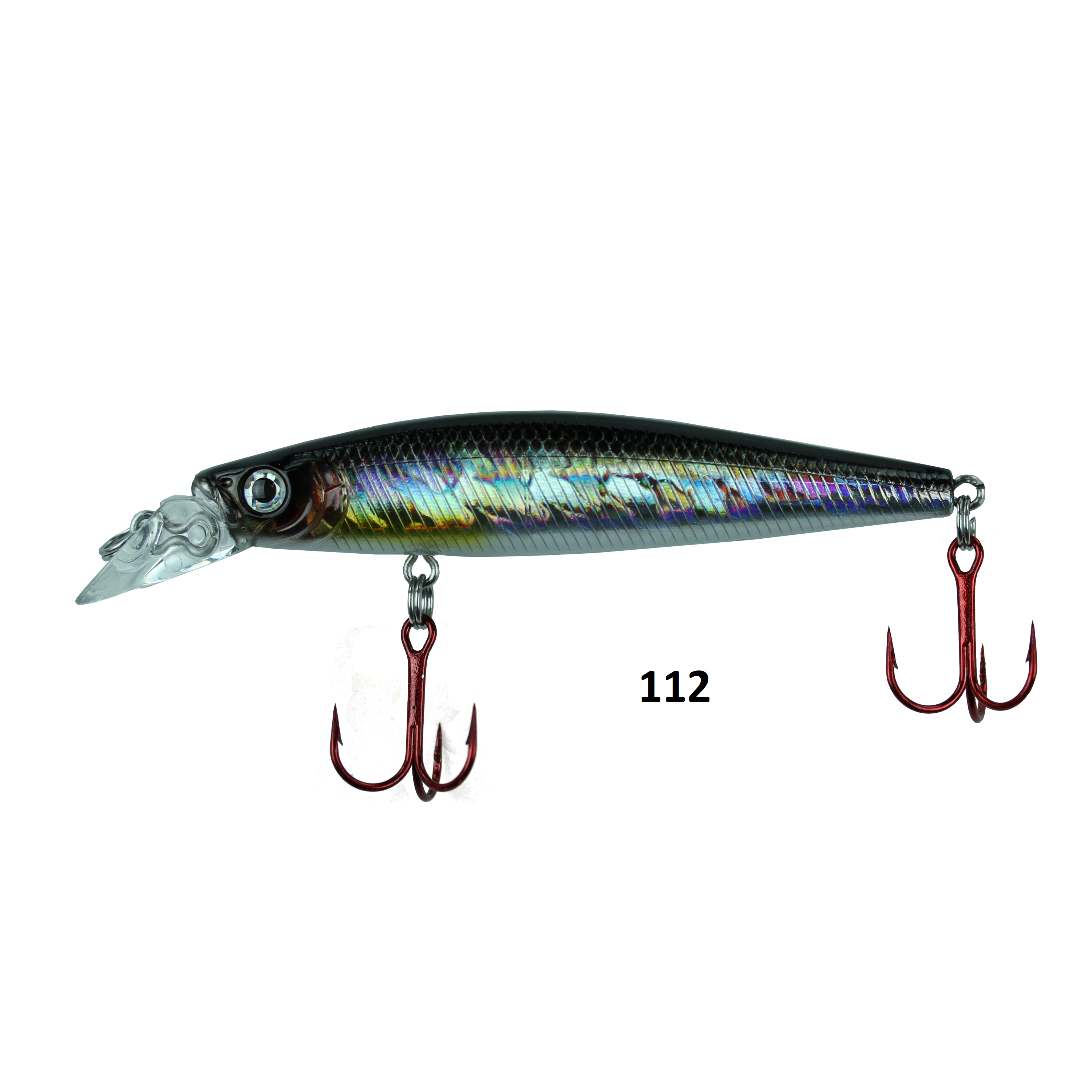 Isca Sumax Bay Shinner