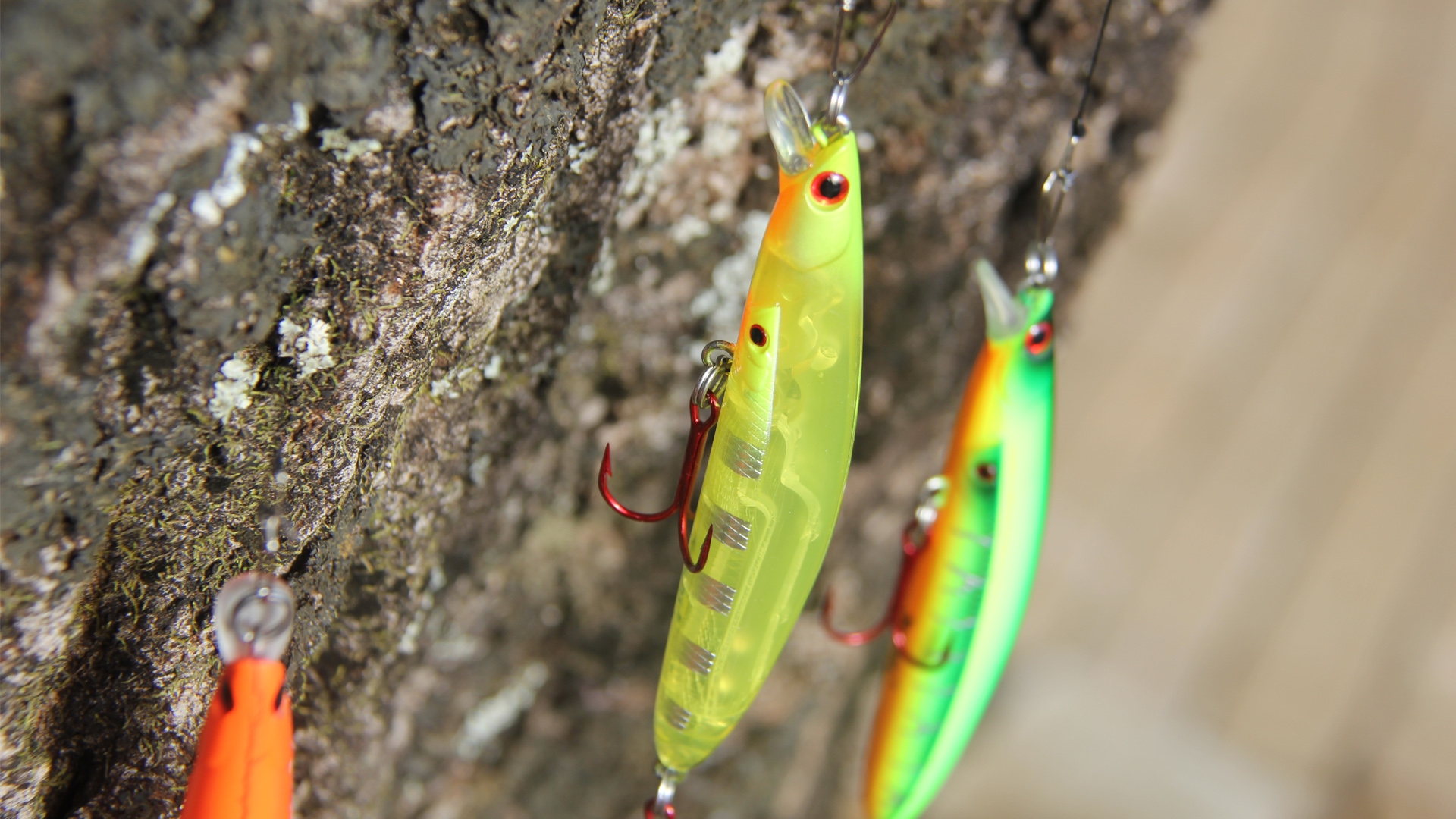 Isca Sumax Phanton Mullet